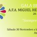 cox-cartel-gala-benefica-afa-noviembre-2019