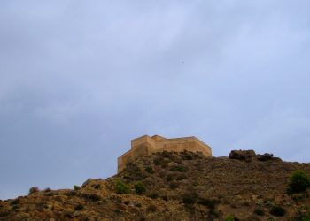 cox-castillo-mayo-2019