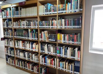 crevillent-biblioteca-enric-valor-libros-idiomas-abril-2020