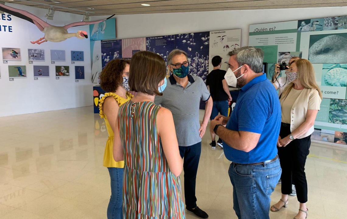 El Parque Natural El Hondo acoge una exposición fotográfica sobre las aves más emblemáticas