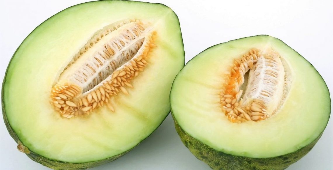 Melón de Carrizales, un sabor de la comarca protegido por el ‘Hondo’