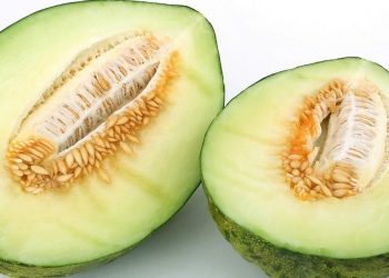 Melón de Carrizales, un sabor de la comarca protegido por el ‘Hondo’