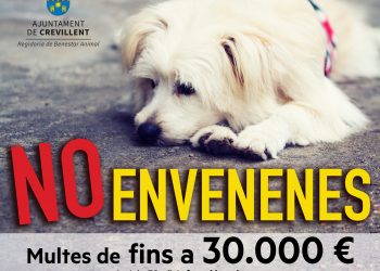 La Concejalía de Bienestar Animal hace un llamamiento contra el envenenamiento de animales en Crevillent