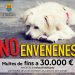 La Concejalía de Bienestar Animal hace un llamamiento contra el envenenamiento de animales en Crevillent