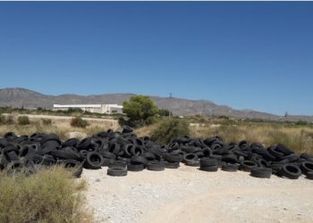 Retiradas 15 toneladas de ruedas de vertidos del municipio