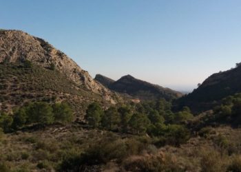 Crevillent pone en marcha un Plan Local de Prevención de Incendios Forestales