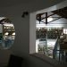 crevillente-biblioteca-diciembre-2019