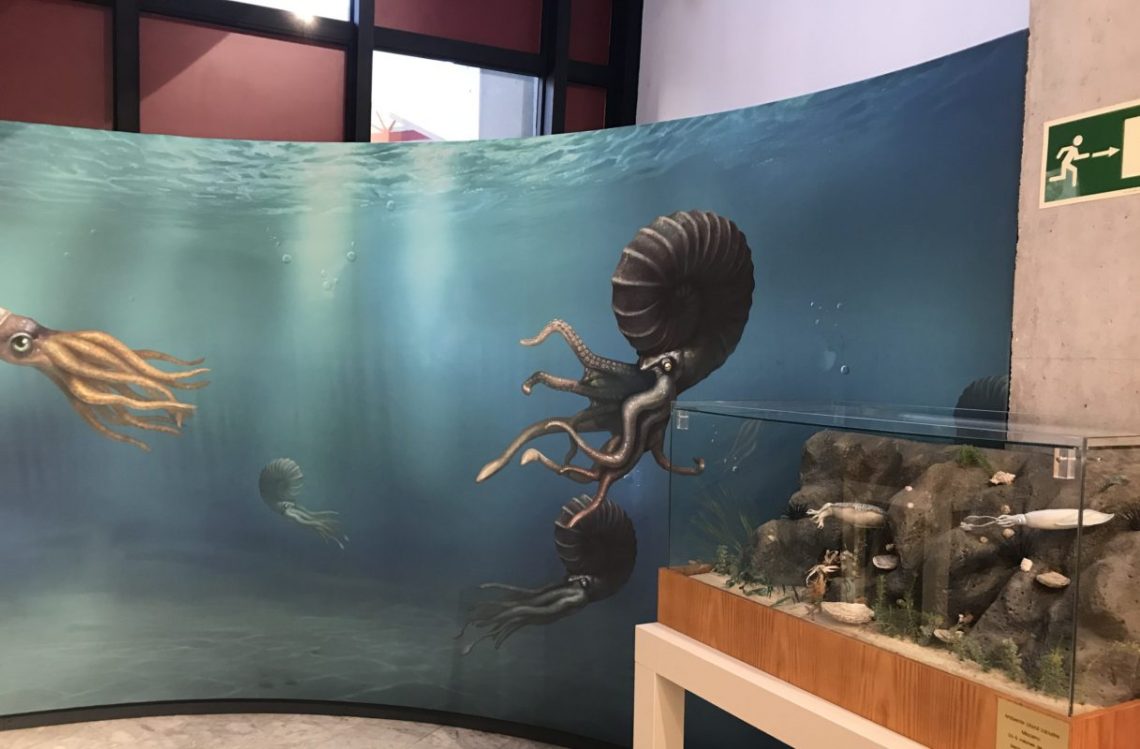 crevillente-exposicion-cisneros-noviembre-2019