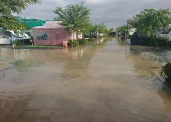 crevillente-inundaciones-marjal-septiembre-2019-1