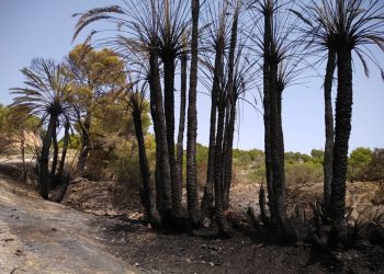 crevillet-incendio-julio-2019