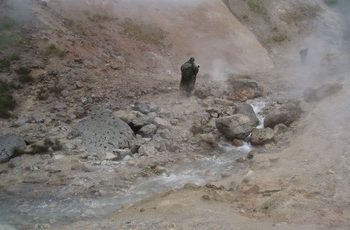 Microorganismos de manantiales volcánicos adquirieron de las bacterias la capacidad de respirar azufre