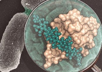 curiosidad-bacterias-diciembre-2019
