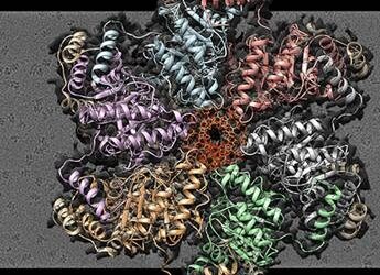 curiosidades-adn-bacterias-abril-2019