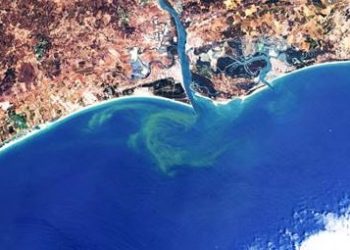 Un equipo del CSIC desarrolla una metodología para detectar y monitorizar las floraciones de algas nocivas