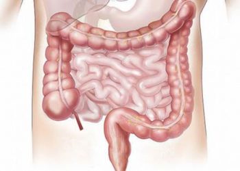 curiosidades-bacteria-intestinal-mayo-2020