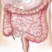curiosidades-bacteria-intestinal-mayo-2020