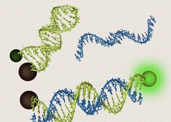 curiosidades-baliza-molecular-mayo-2020