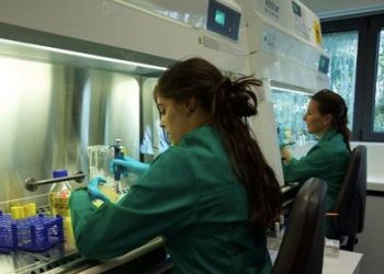 El CSIC convoca becas JAE Intro de iniciación a la investigación en sus centros de excelencia