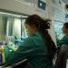 El CSIC convoca becas JAE Intro de iniciación a la investigación en sus centros de excelencia