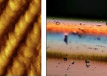 curiosidades-bisfenol-a--marzo-2019