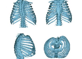 curiosidades-caja-toracica-febrero-2020-1