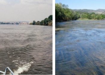 curiosidades-cambios-fauna-flora-agosto-2019