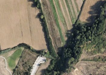 curiosidades-campos-agricolas-agosto-2019