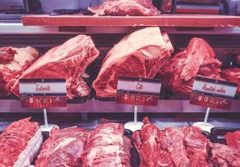 Investigadores del CSIC diseñan un detector rápido de coronavirus para superficies de procesado de alimentos