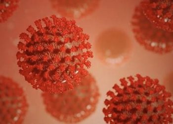 Científicos del CSIC participan en el descubrimiento de causas genéticas e inmunitarias que agravan la Covid-19