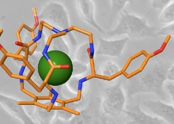 curiosidades-celulas-cancerosas-agosto-2019
