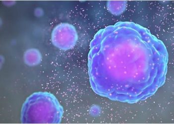 Una plataforma celular estudiará cómo el SARS-CoV-2 causa la inflamación de los tejidos y la muerte de las células