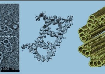 curiosidades-centriolo-marzo-2019