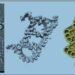 curiosidades-centriolo-marzo-2019