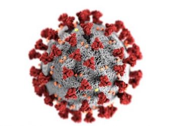 El CSIC participa en el desarrollo de un clon infectivo del SARS-CoV-2 para estudiar su biología molecular