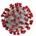 El CSIC participa en el desarrollo de un clon infectivo del SARS-CoV-2 para estudiar su biología molecular