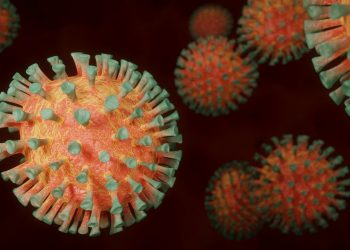 ¿Qué sabemos de la nueva variante del coronavirus detectada en Reino Unido?