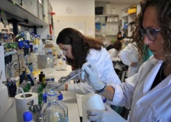 El CSIC convoca la segunda edición del concurso de vídeos divulgativos Yo investigo. Yo soy CSIC