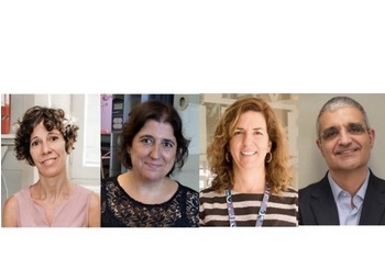 Cuatro proyectos del CSIC obtienen ayudas de la Fundación “la Caixa” para estudiar la malaria, el cáncer y el cerebro