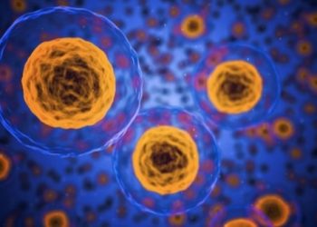 curiosidades-dispositivo-que-distingue-las-celulas-sanas-enero-2020