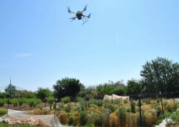 curiosidades-drones-para-la-recogida-de-cereales-agosto-2019