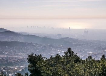 curiosidades-emisiones-enero-2020