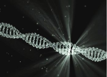 Descifrada la estructura de la proteína clave que repara daños del ADN por radiaciones ultravioleta o quimioterapia