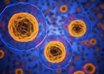 Descrito un nuevo mecanismo de regulación para eliminar estructuras celulares dañadas por el estrés