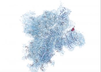 curiosidades-estructura-virus-mayo-2020