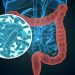 La dieta durante el embarazo afecta a la microbiota y el desarrollo de los bebés en los primeros meses de vida