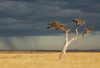 Una técnica matemática permite estudiar en modelos 3D el transporte de humedad y polvo de los monzones