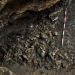 curiosidades-excavacion-en-la-cueva-lecho-restos-humanos-enero-2021