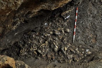 La cueva de Els Trocs en Huesca fue ocupada por los primeros pastores trashumantes documentados en Europa