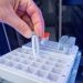 El CSIC se une a la infraestructura EU-OPENSCREEN para investigar en química biológica y nuevos fármacos