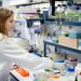 El CSIC es más igualitario que otras instituciones, pero desciende el número de investigadoras jóvenes